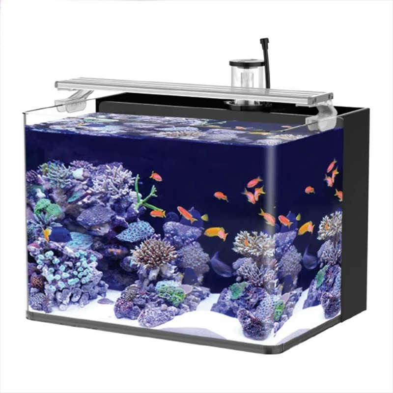 Aquarium Fish Delivery - Delivery table curved seawater fish tank