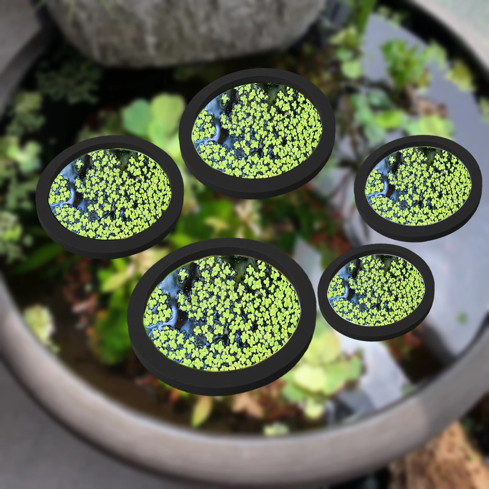 Aquarium Fish Gallery - 5Pcs EVA Fish Feeding Ring Aquarium
