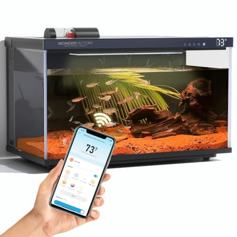 Aquarium Fish Feeder - Smart Aquarium 5 Gallon Glass Fish