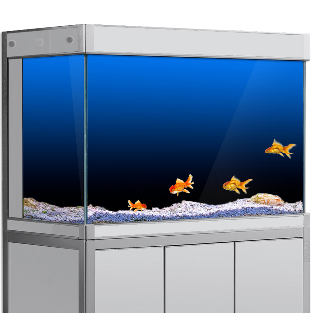 Aquarium Fish Poster - Fish Tank Background Sticker Black Green