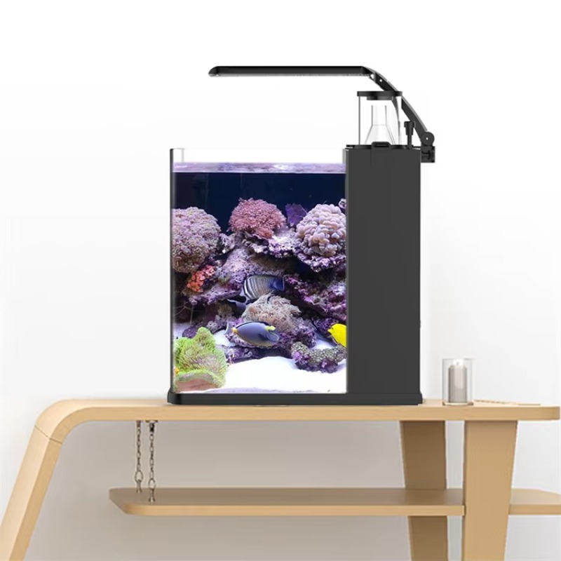 Delivery table curved seawater - مراجعة Aquarium Fish Delivery وسعره
