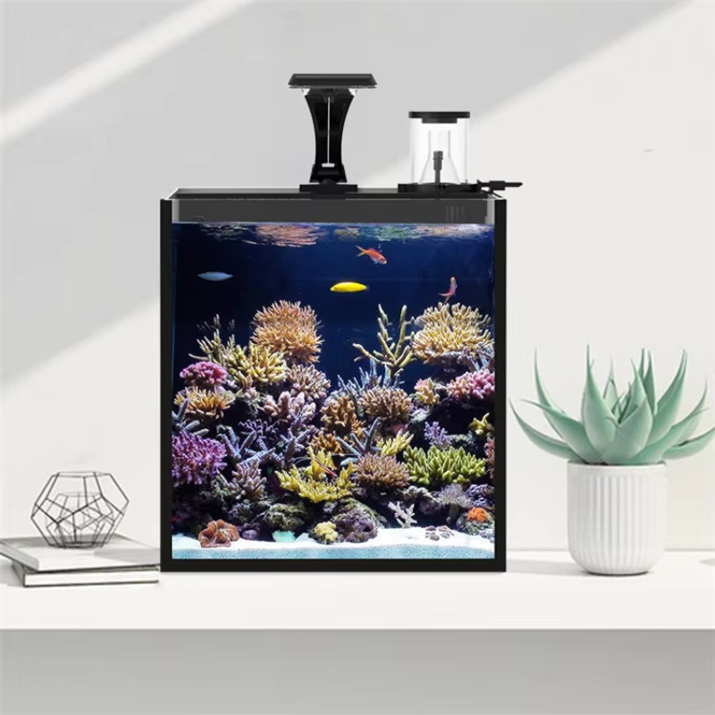 Delivery table curved seawater - مراجعة Aquarium Fish Delivery وسعره