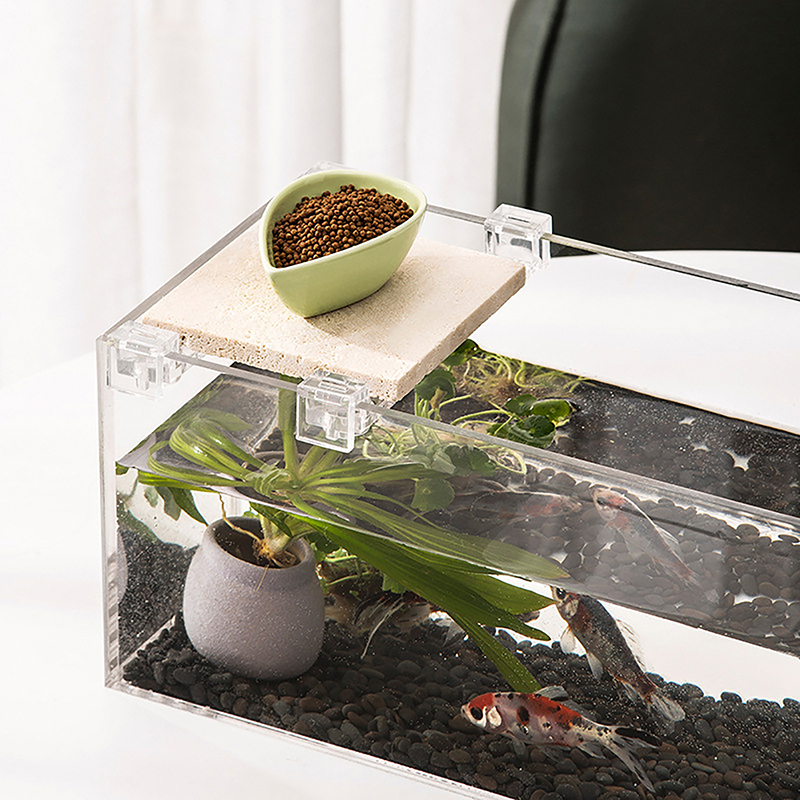 4PCS Acrylic Fish Tank Cover H - مراجعة Aquarium Fish Real وسعره