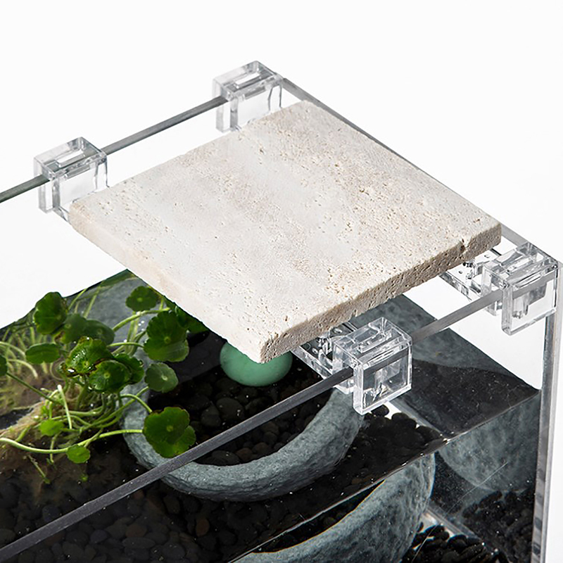 4PCS Acrylic Fish Tank Cover H - مراجعة Aquarium Fish Real وسعره