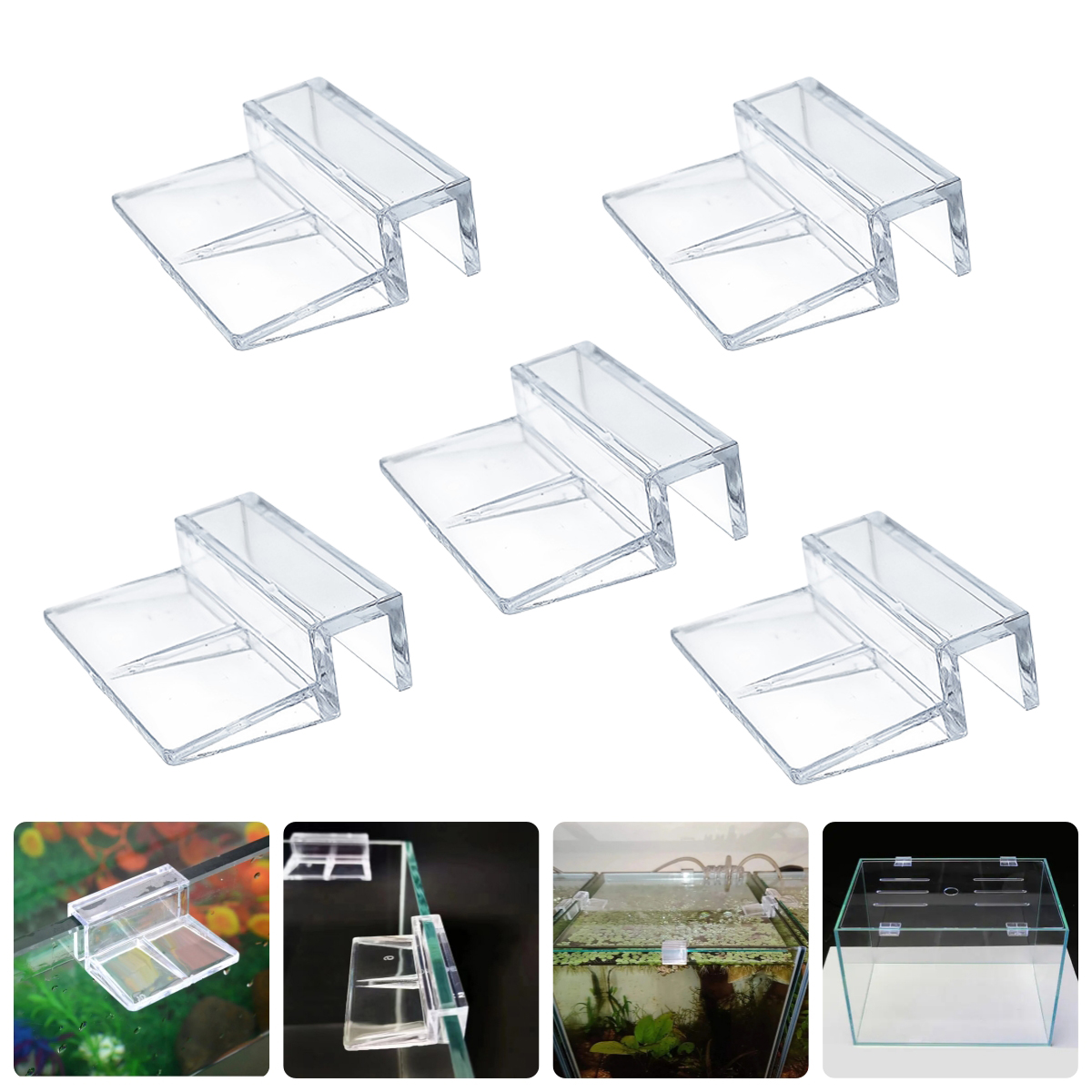 10Pcs Transparent Acrylic Fish - مراجعة Aquarium Fish Real وسعره