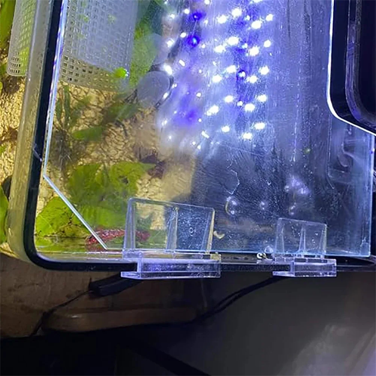 10Pcs Transparent Acrylic Fish - مراجعة Aquarium Fish Real وسعره