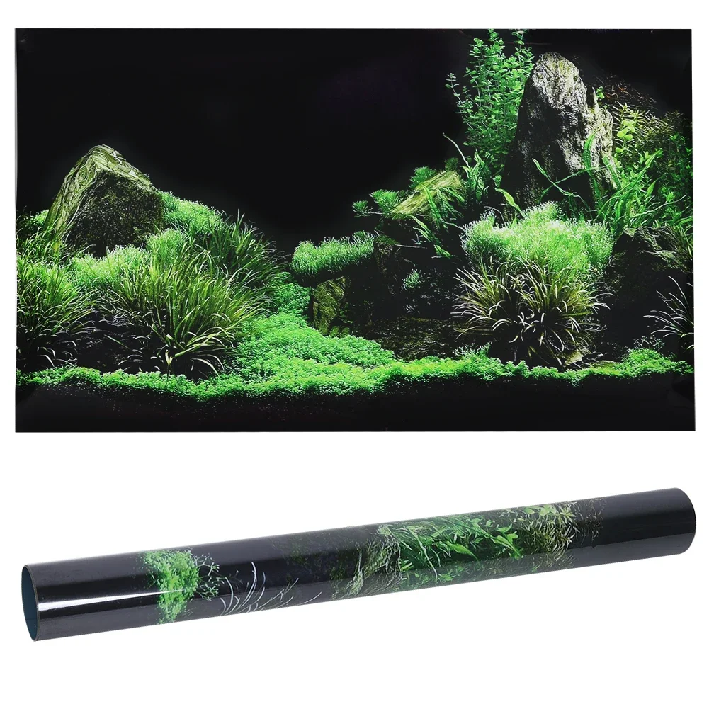 Background for Aquarium 3d Sti - مراجعة Aquarium Fish Poster وسعره