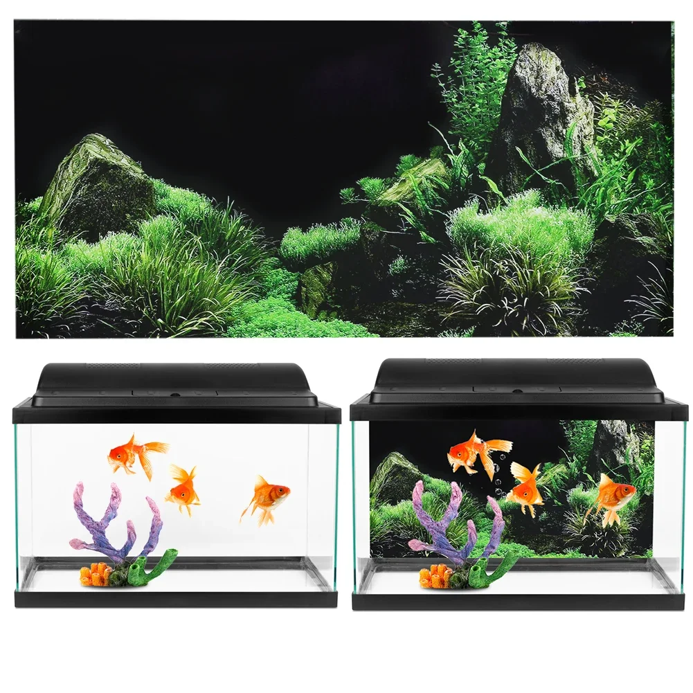 Background for Aquarium 3d Sti - مراجعة Aquarium Fish Poster وسعره