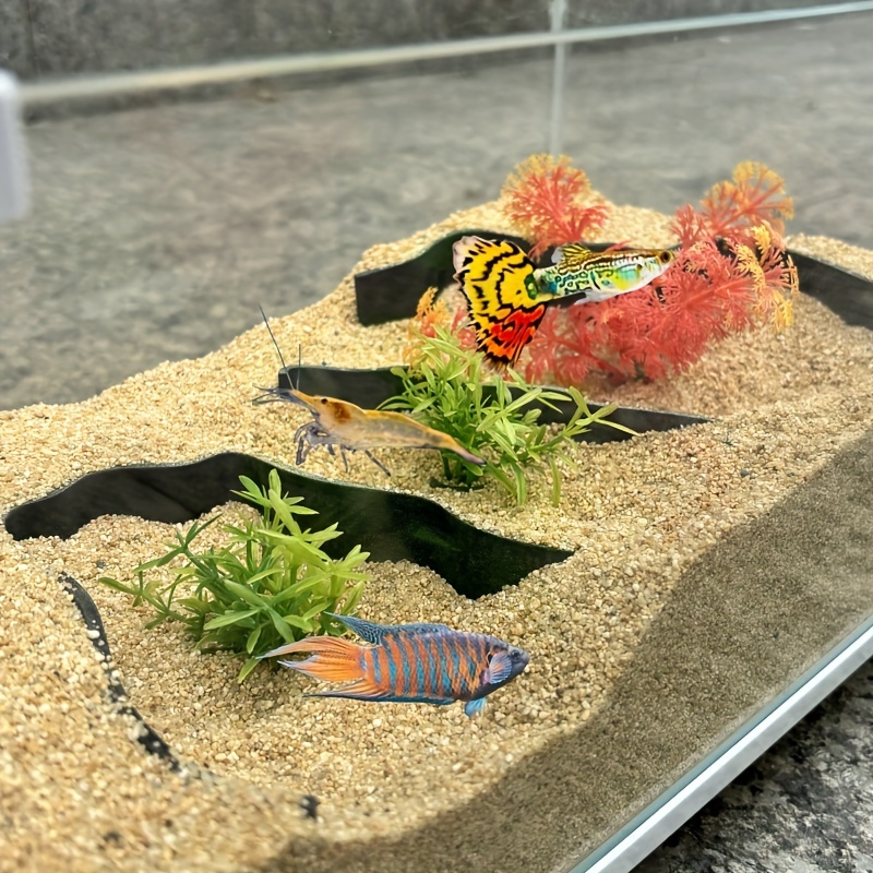 3-piece aquarium isolation wal - مراجعة Aquarium Fish Zone وسعره
