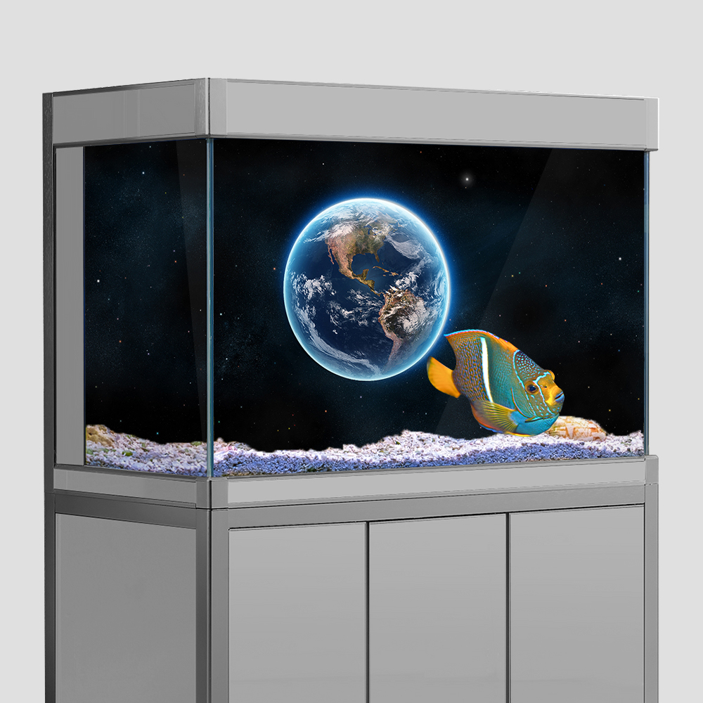 Aquarium Fish Tank  Background - مراجعة Aquarium Fish Poster وسعره