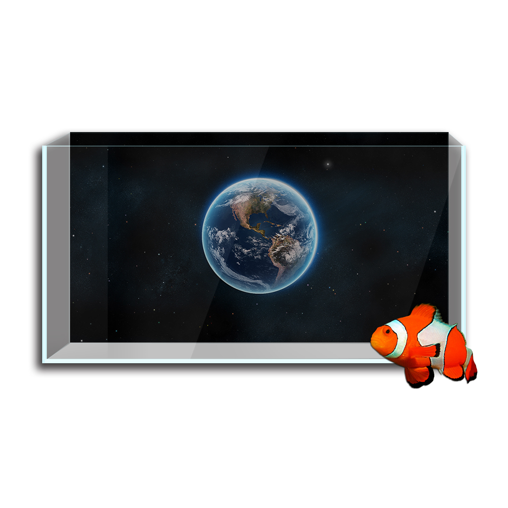 Aquarium Fish Tank  Background - مراجعة Aquarium Fish Poster وسعره