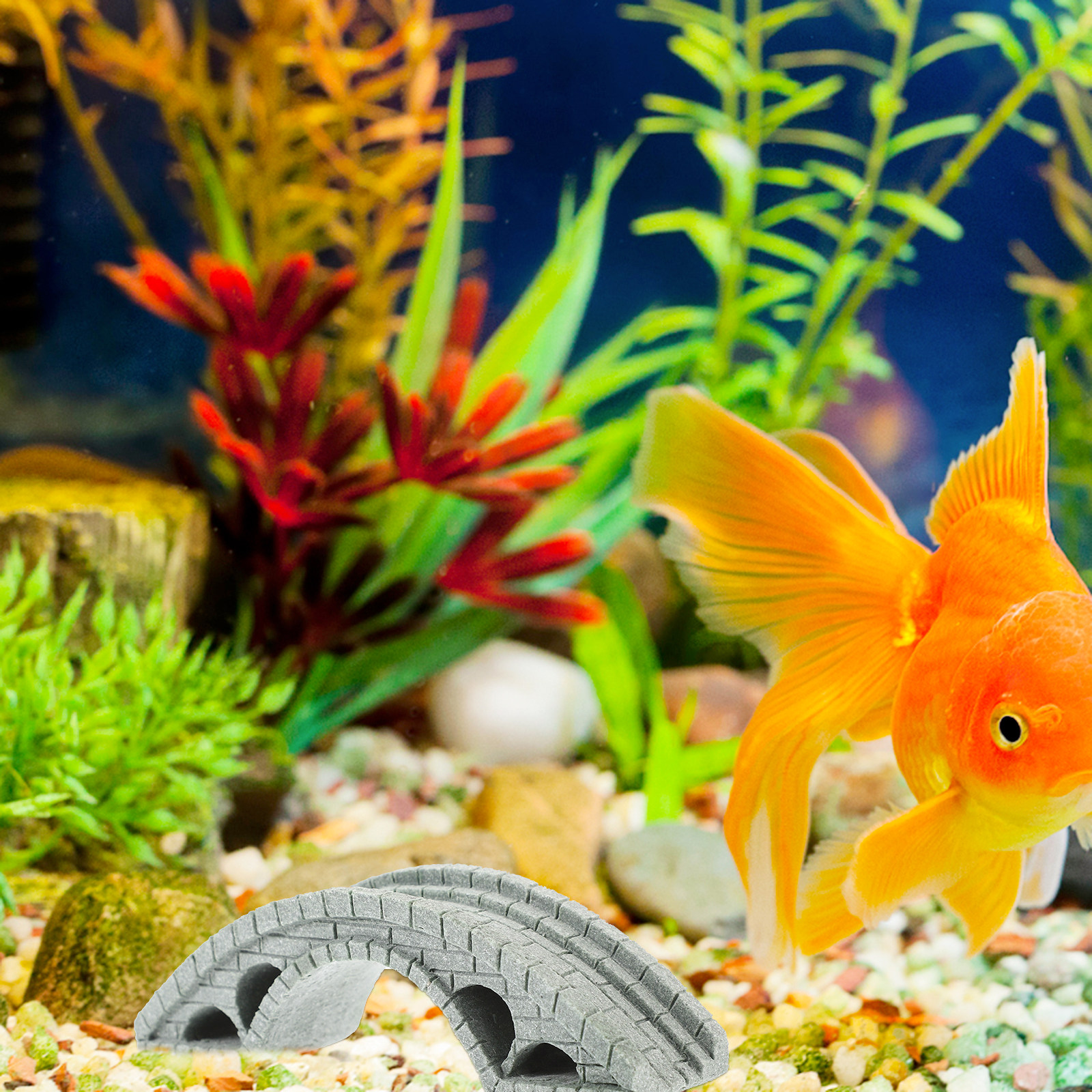 Exquisite Bridge Ornament for  - مراجعة Aquarium Fish Bridge وسعره