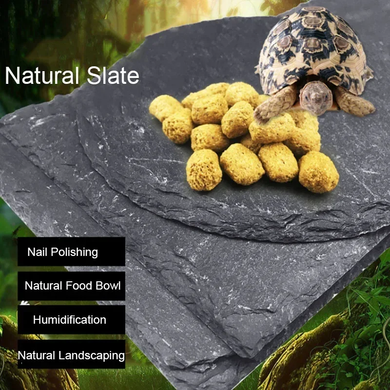 Natural Slate Aquarium Pet Rep - مراجعة Aquarium Fish Feeder وسعره