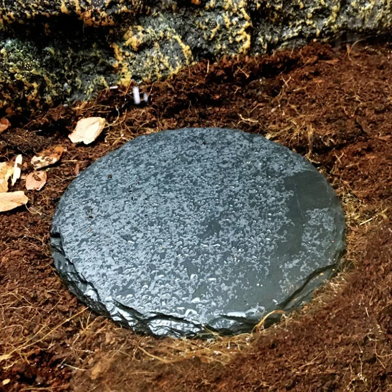 Natural Slate Aquarium Pet Rep - مراجعة Aquarium Fish Feeder وسعره