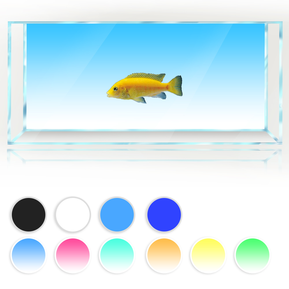 Fish Tank Background White Yel - مراجعة Aquarium Fish Yellow And Black وسعره