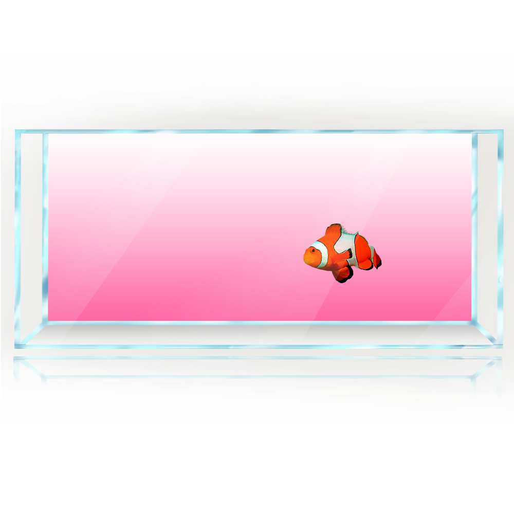 Fish Tank Background White Yel - مراجعة Aquarium Fish Yellow And Black وسعره