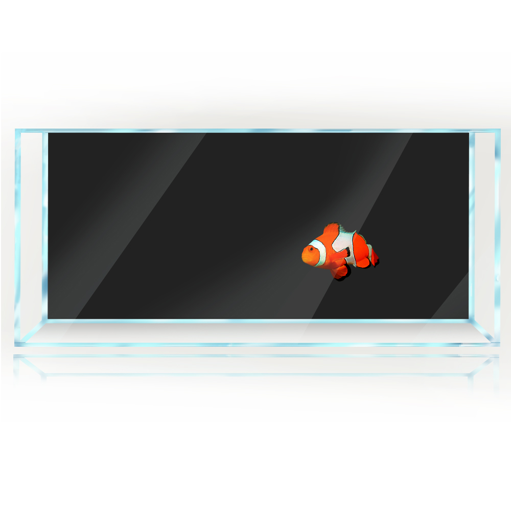 Fish Tank Background White Yel - مراجعة Aquarium Fish Yellow And Black وسعره