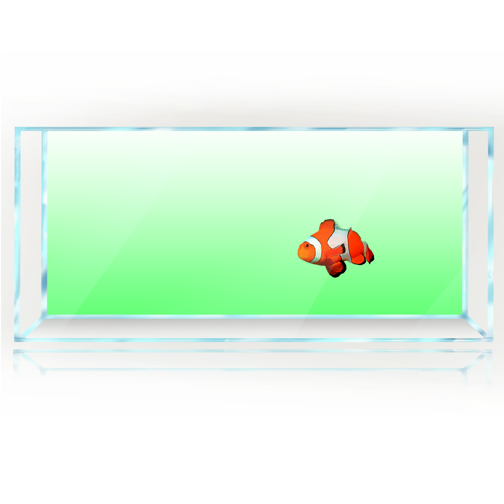 Fish Tank Background White Yel - مراجعة Aquarium Fish Yellow And Black وسعره