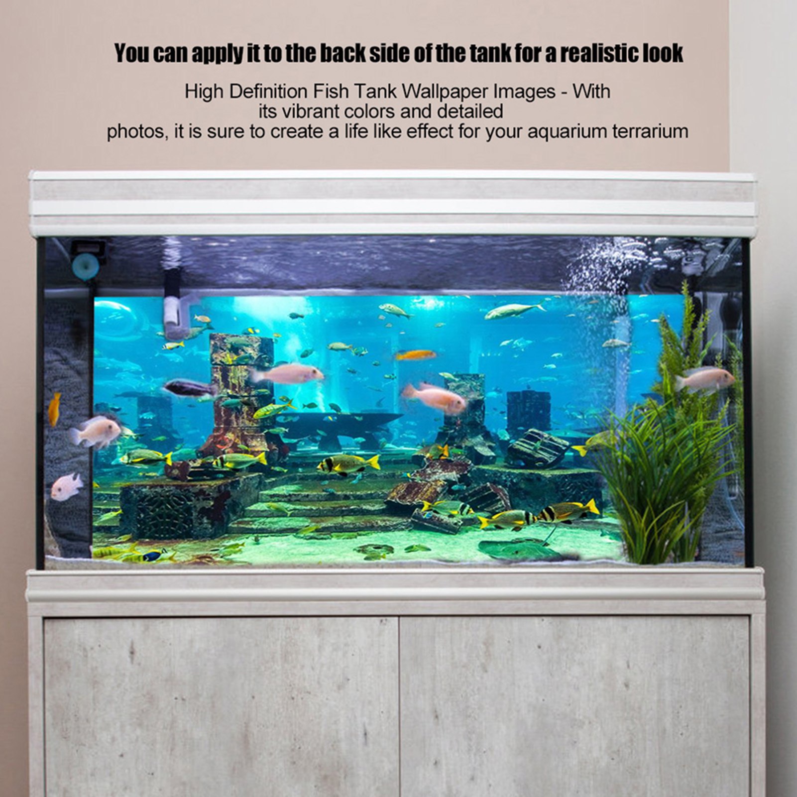 ZK20 Coral Aquarium Background - مراجعة Aquarium Fish Poster وسعره