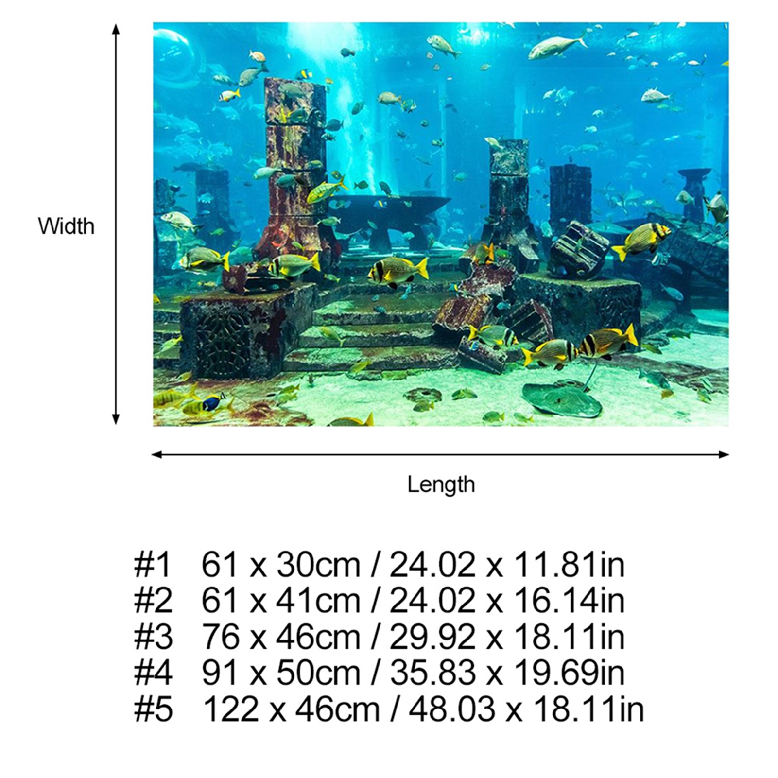 ZK20 Coral Aquarium Background - مراجعة Aquarium Fish Poster وسعره