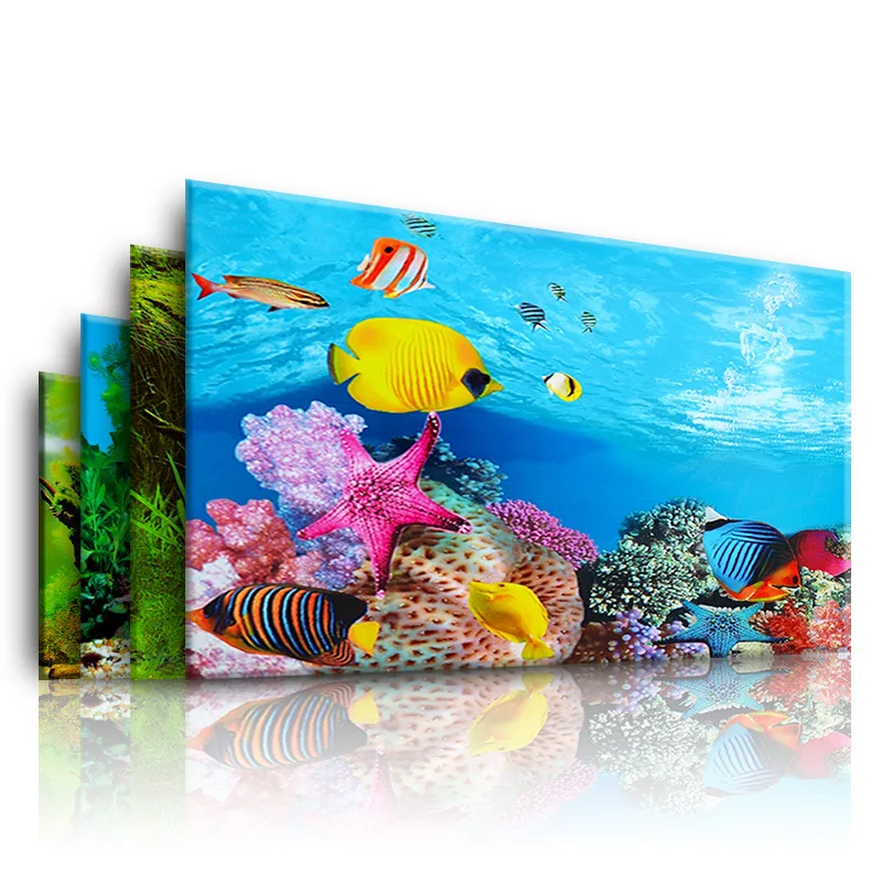 Background for Aquarium 3d  St - مراجعة Aquarium Fish Poster وسعره