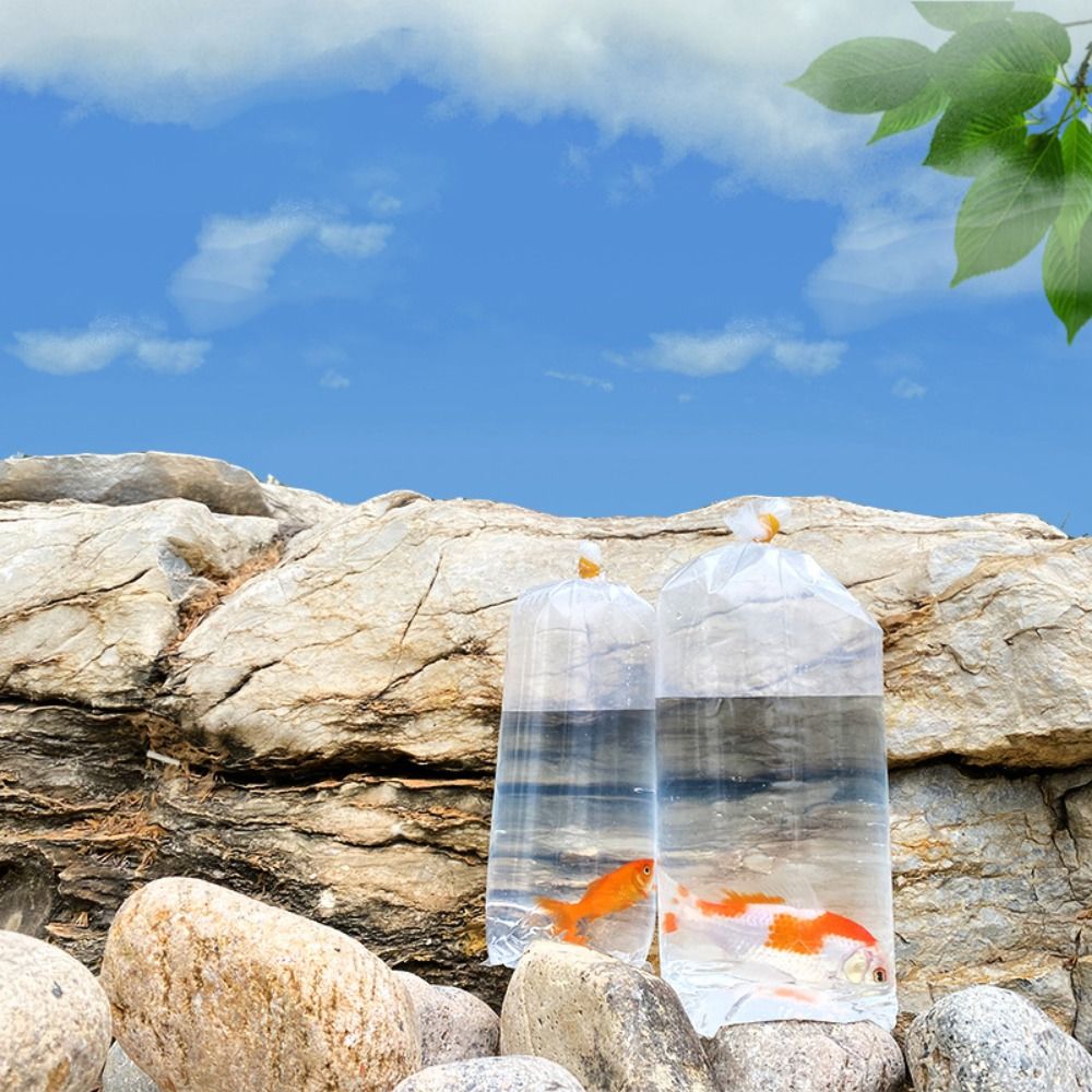 10PCS Plastic Aquarium Breathi - مراجعة Aquarium Fish Delivery وسعره
