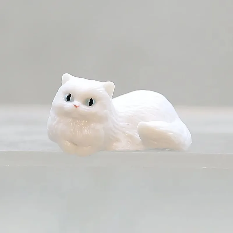 Cute Cartoon Cat Decor PVC Hom - مراجعة Aquarium Fish Real وسعره