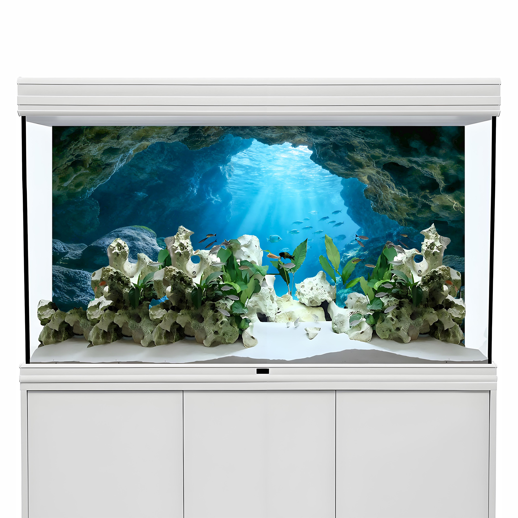 Deep Sea Blue Hole，Fish tank b - مراجعة Aquarium Fish Poster وسعره