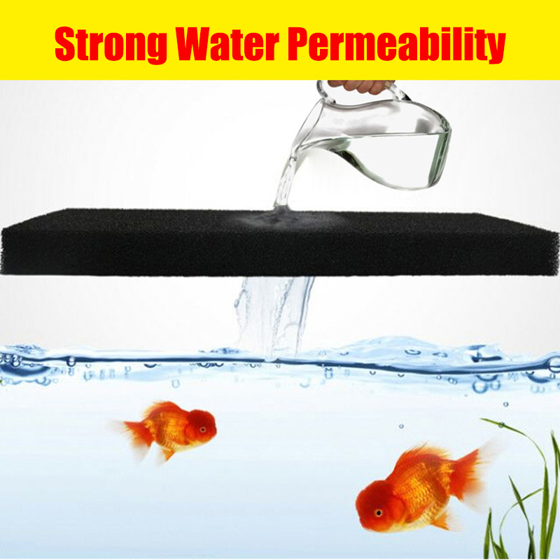 Aquarium Accessories Biochemic - مراجعة Aquarium Fish Yellow And Black وسعره