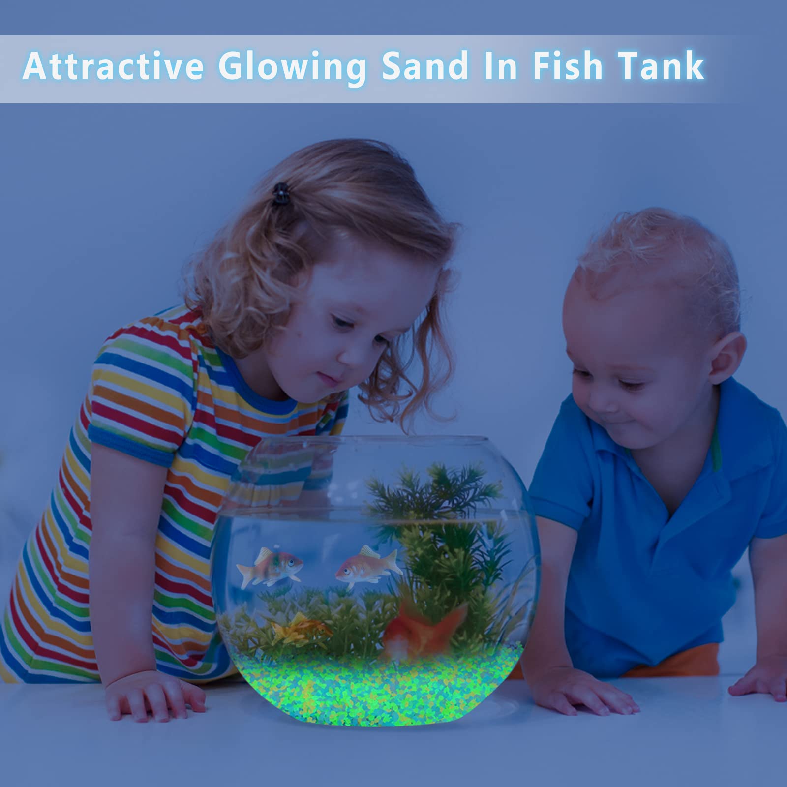 1000Pcs Luminous Sand Glow In  - مراجعة Aquarium Fish Real وسعره