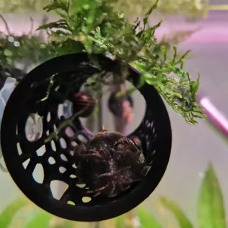 Aquarium Fish Tunnel Toys Bett - مراجعة Aquarium Fish Feeder وسعره