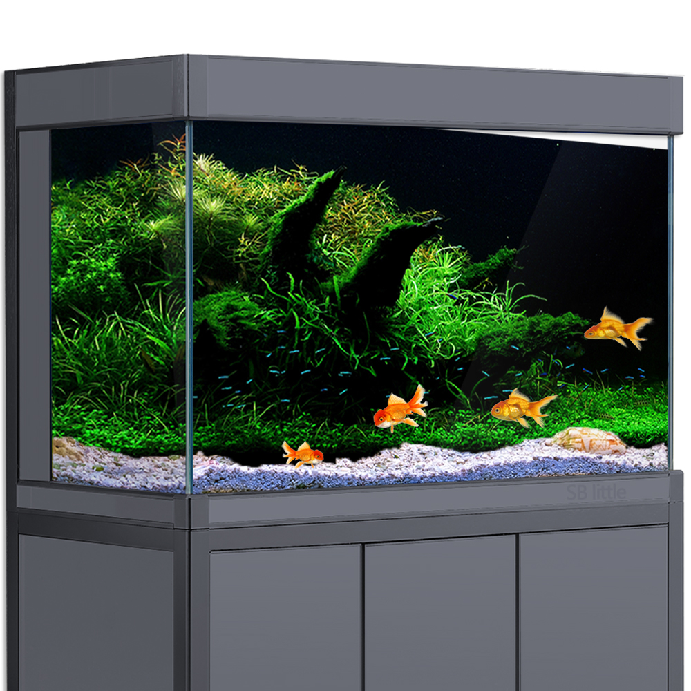 Aquarium Background Fish Tank  - مراجعة Aquarium Fish Poster وسعره