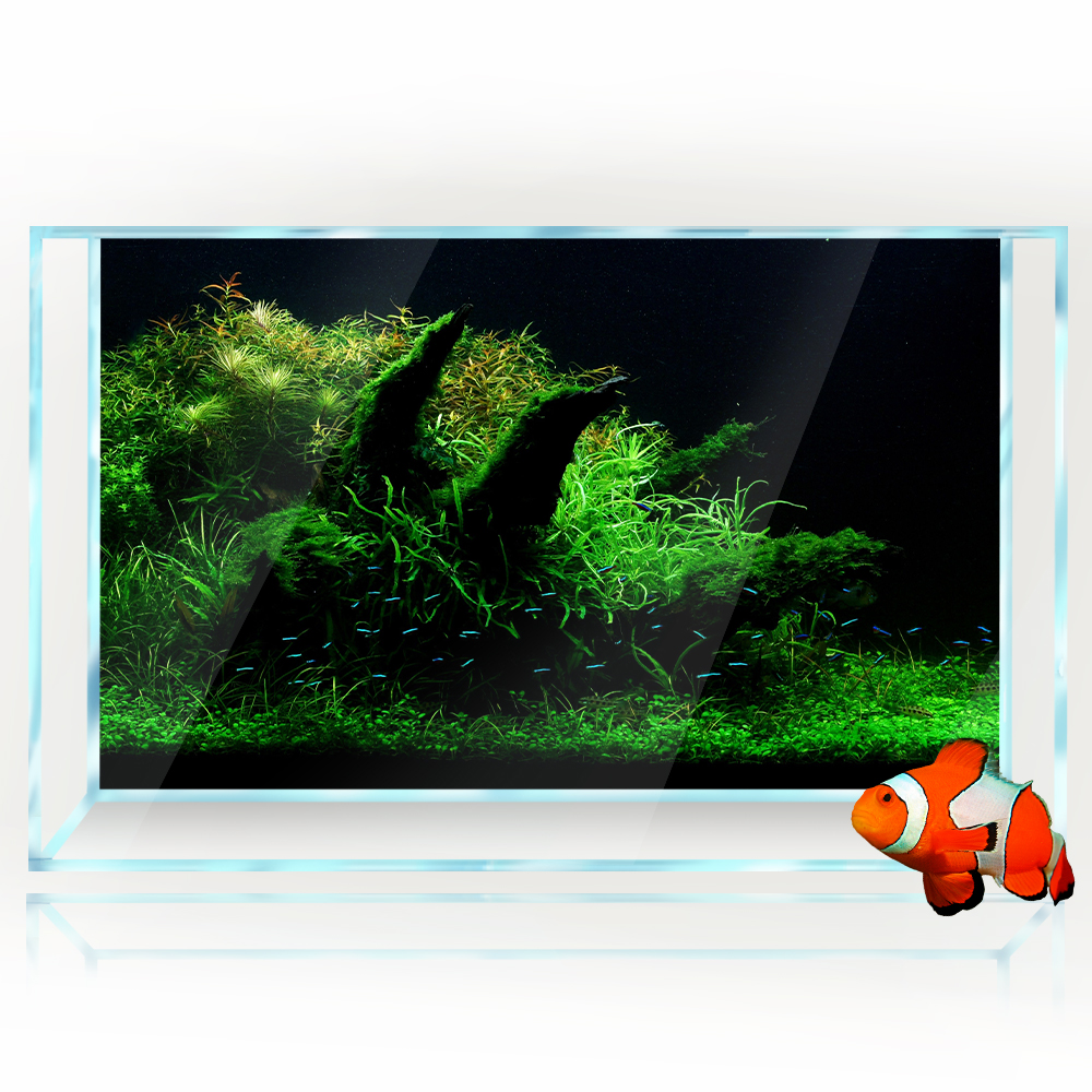 Aquarium Background Fish Tank  - مراجعة Aquarium Fish Poster وسعره