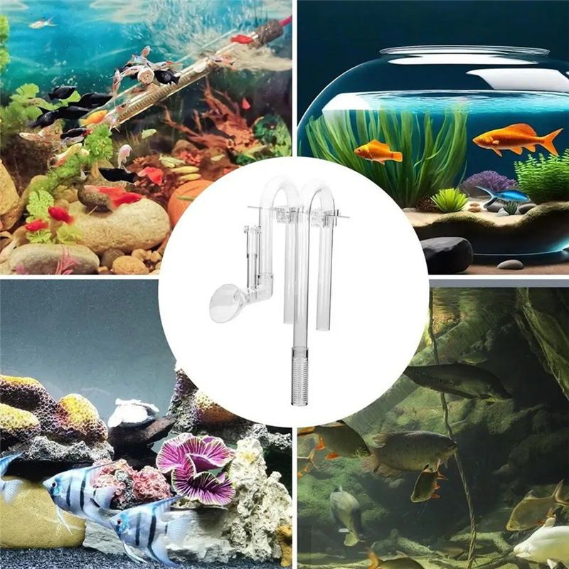 【Fast Delivery】Aquarium Inlet  - مراجعة Aquarium Fish Delivery وسعره