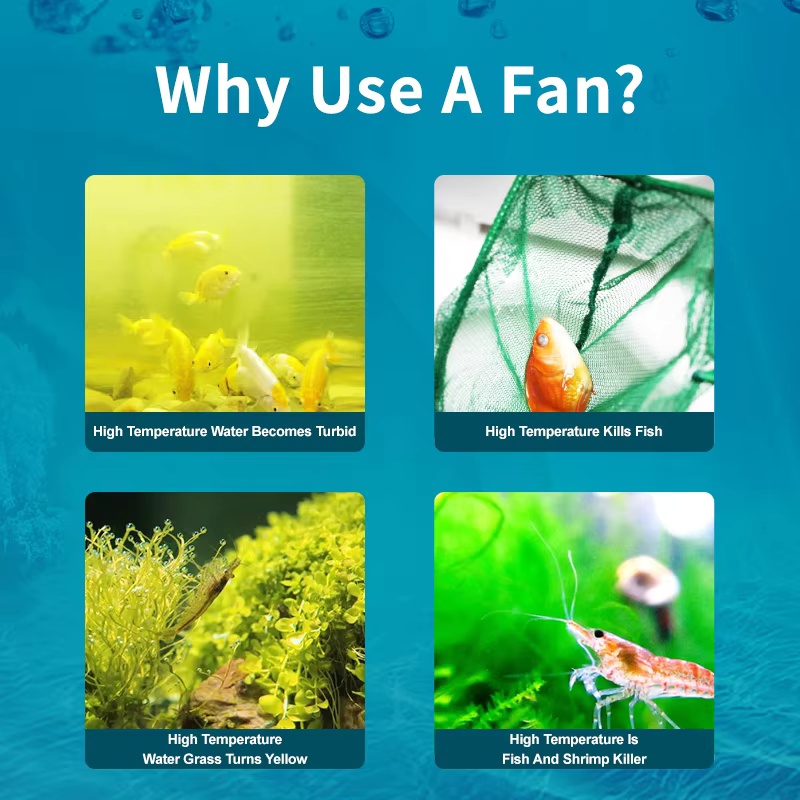Jebao Jecod ACF Series Aquariu - مراجعة Fish Co Aquarium وسعره
