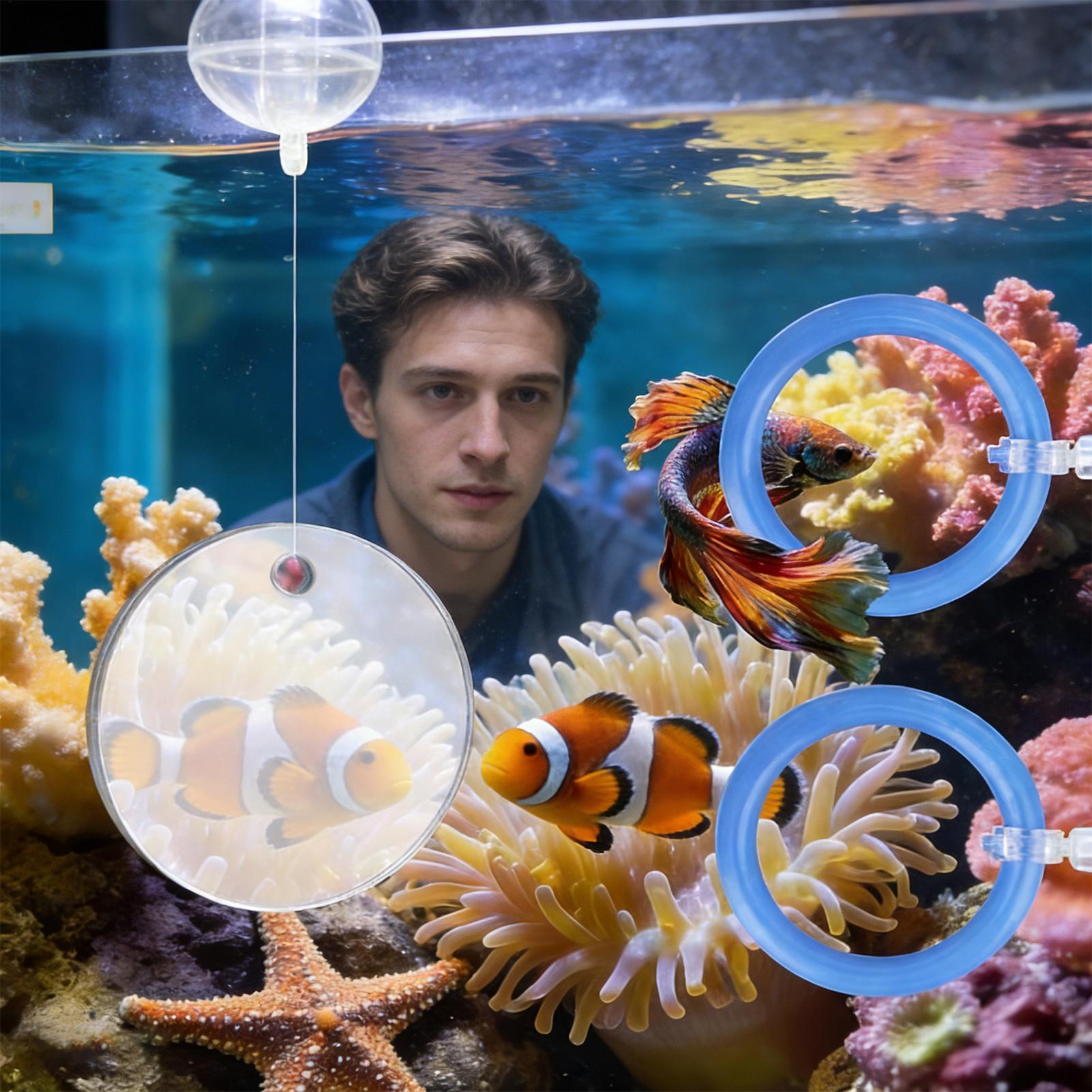 2Pcs Floating Feeding Ring Wit - مراجعة Aquarium Fish Feeder وسعره
