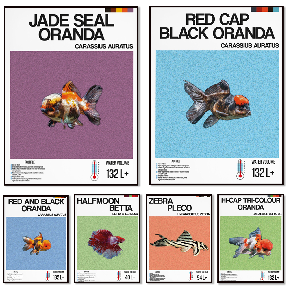 Fish information print, orname - مراجعة Aquarium Fish Zebra وسعره