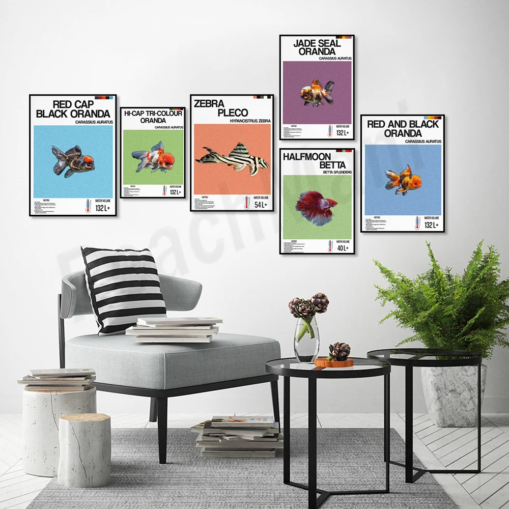 Fish information print, orname - مراجعة Aquarium Fish Zebra وسعره