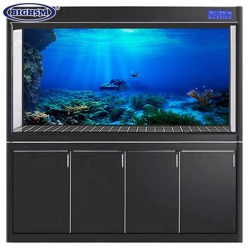 1Pcs Fish Tank Background Deco - مراجعة Aquarium Fish Poster وسعره
