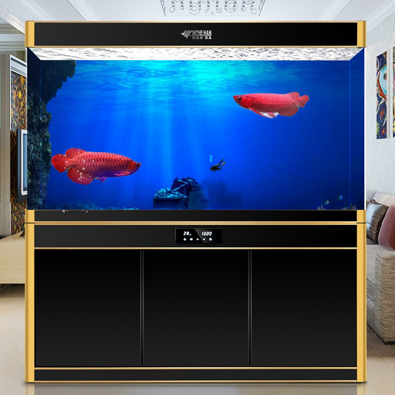 1Pcs Fish Tank Background Deco - مراجعة Aquarium Fish Poster وسعره