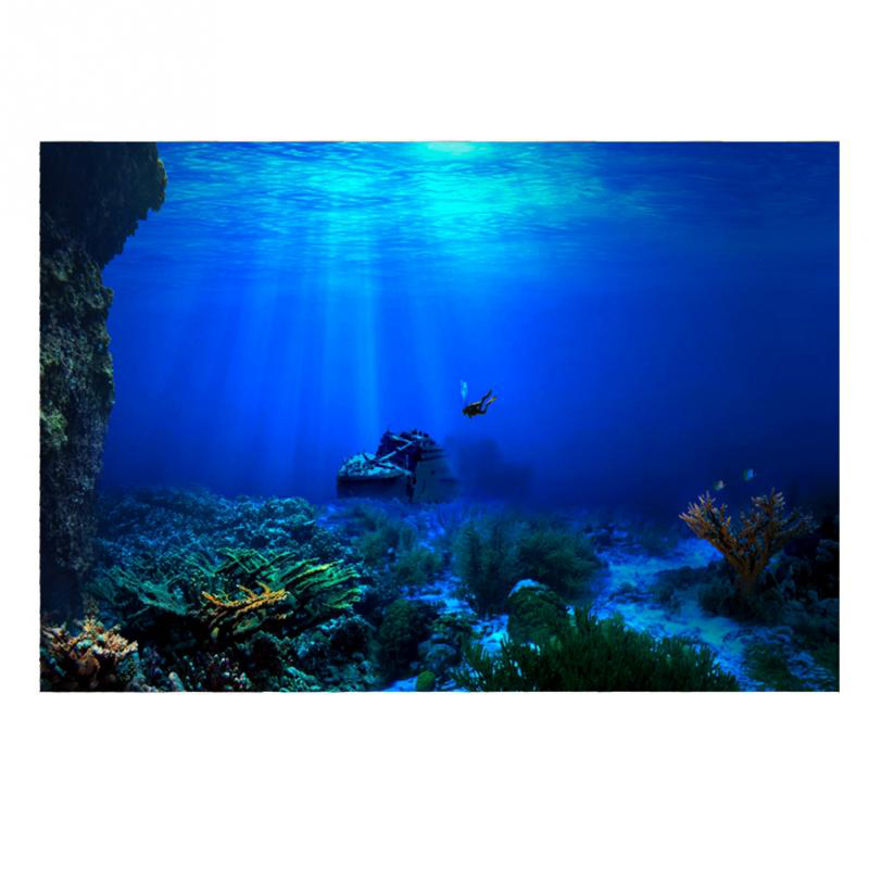 1Pcs Fish Tank Background Deco - مراجعة Aquarium Fish Poster وسعره
