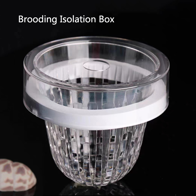 Acrylic Floating Fish Breeding - مراجعة Aquarium Fish Feeder وسعره