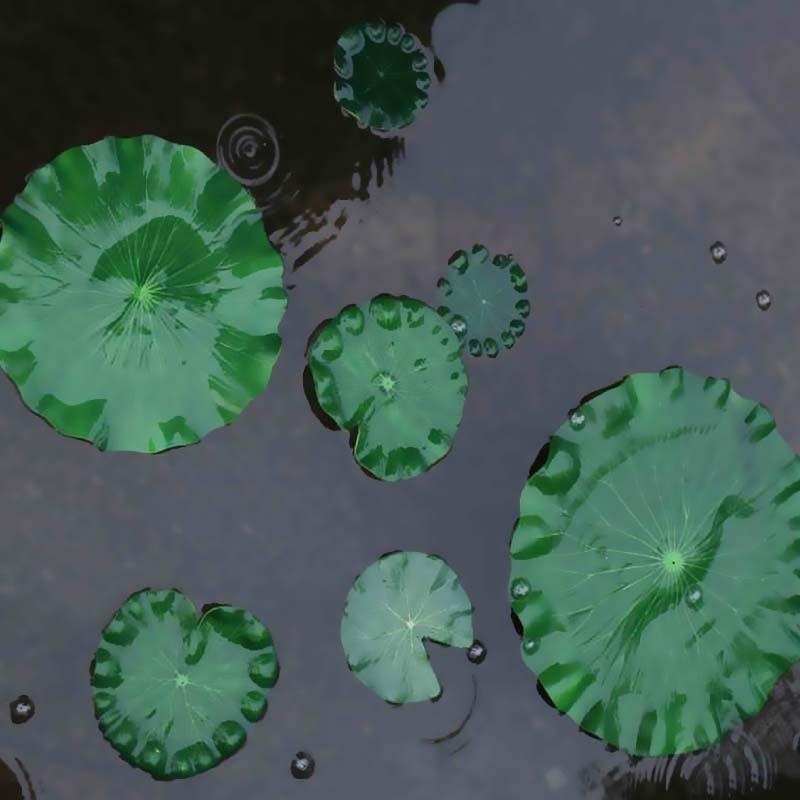 2026 Artificial Water Lily Lot - مراجعة Aquarium Fish Real وسعره
