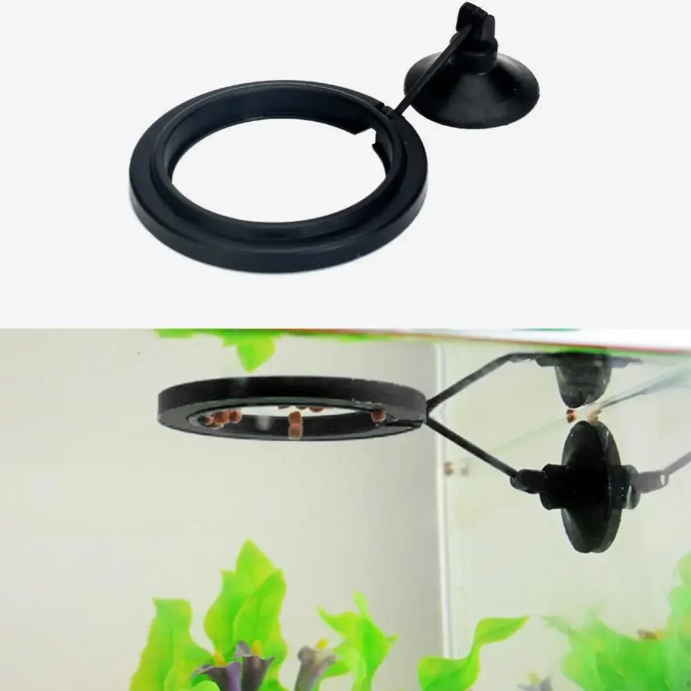 Feed Suction Cup Aquarium Feed - مراجعة Aquarium Fish Real وسعره
