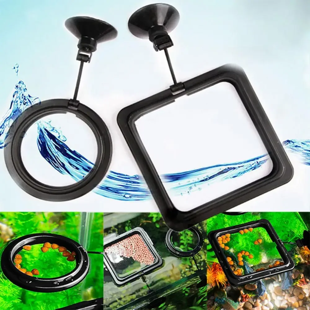Feed Suction Cup Aquarium Feed - مراجعة Aquarium Fish Real وسعره