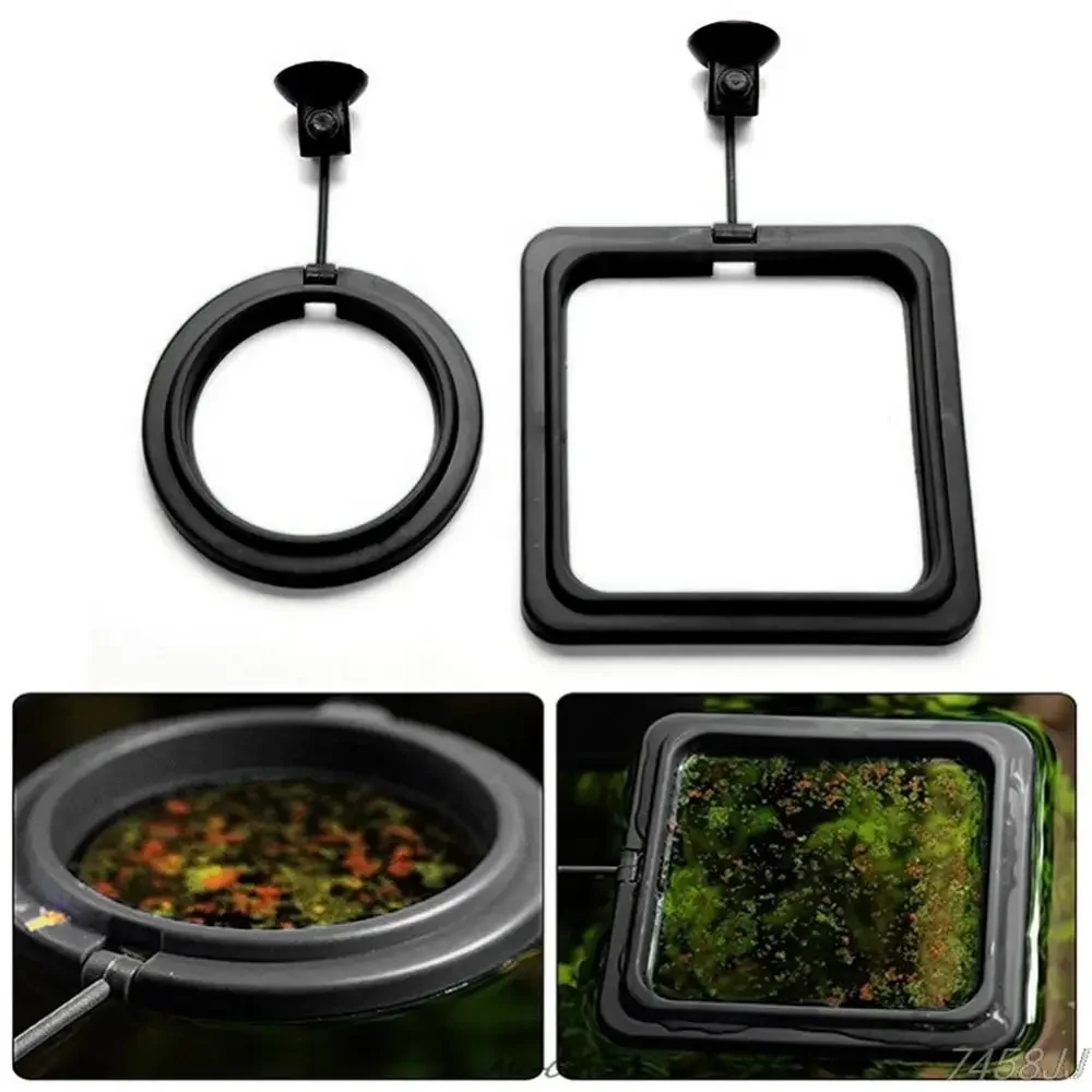 Feed Suction Cup Aquarium Feed - مراجعة Aquarium Fish Real وسعره