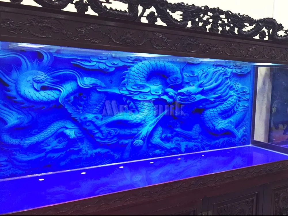 Custom Size Aquarium Backgroun - مراجعة Aquarium Fish Poster وسعره