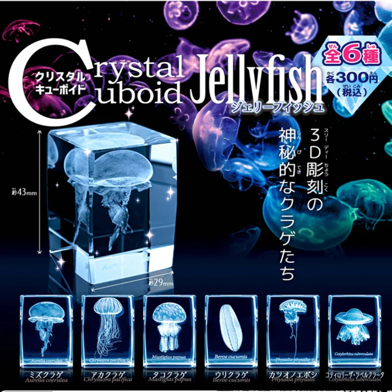 Japan Gashapon Jellyfish 3D Cr - مراجعة Aquarium Fish Japan وسعره