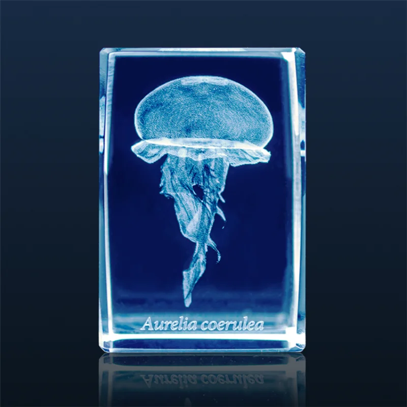 Japan Gashapon Jellyfish 3D Cr - مراجعة Aquarium Fish Japan وسعره