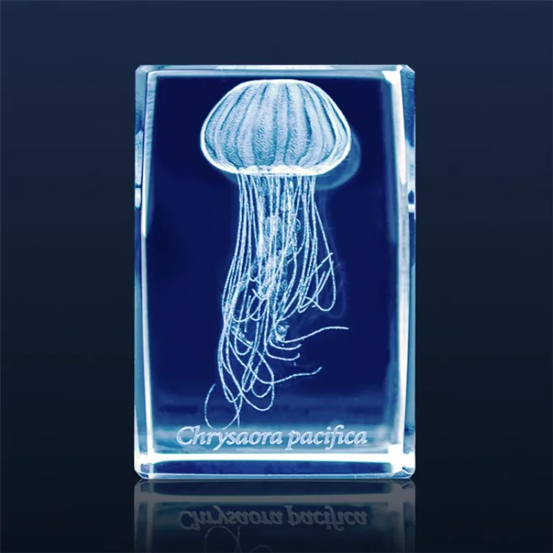 Japan Gashapon Jellyfish 3D Cr - مراجعة Aquarium Fish Japan وسعره